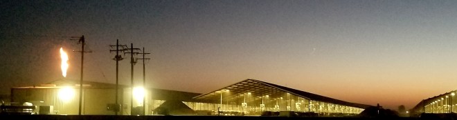 Kings Cty dairy flare by Tom Frantz cropped